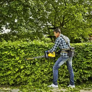 Jesienne cięcie i formowanie żywopłotu. Jak przeprowadzić je prawidłowo?